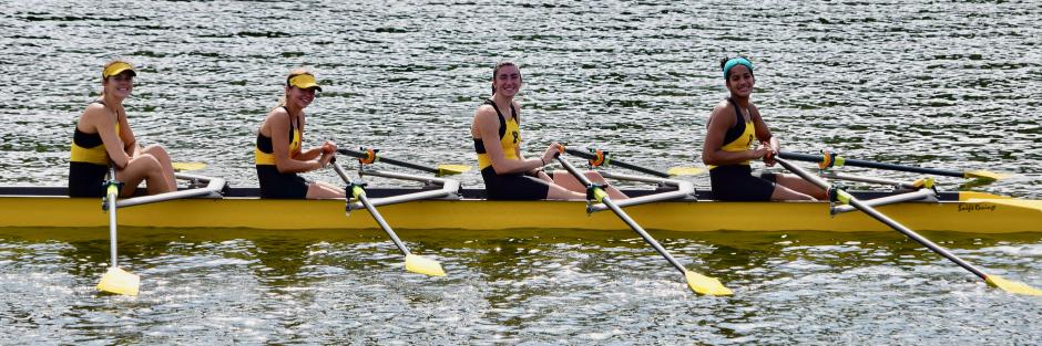 Plant High Rowing banner