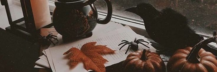 DeLoree13's profile banner image