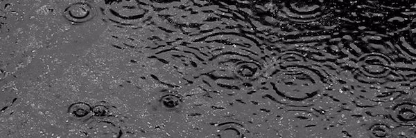 ralsallum's profile banner image