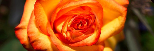 TurnerGaret Profile Banner