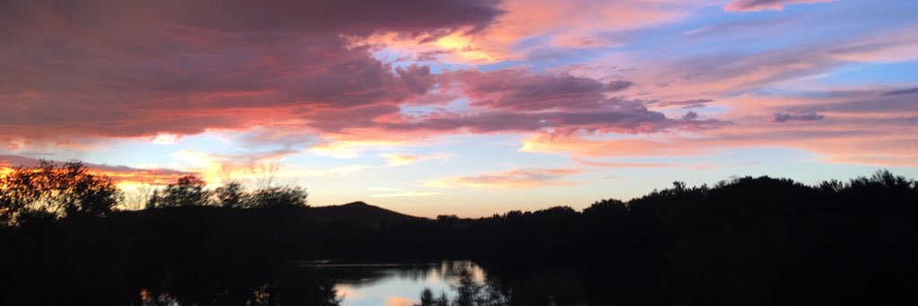 MichelleTena's profile banner image