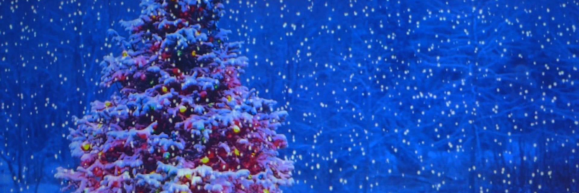 AndhraW's profile banner image