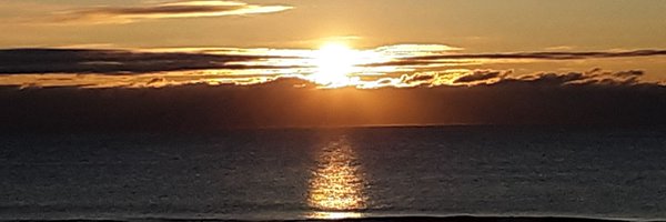 CoopMarie1 Profile Banner