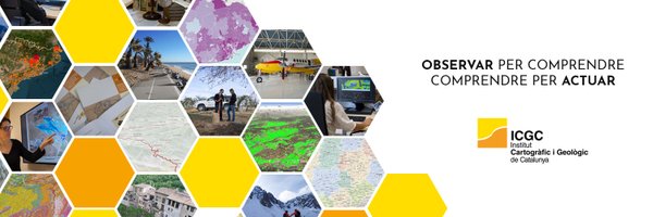 ICGCat Profile Banner