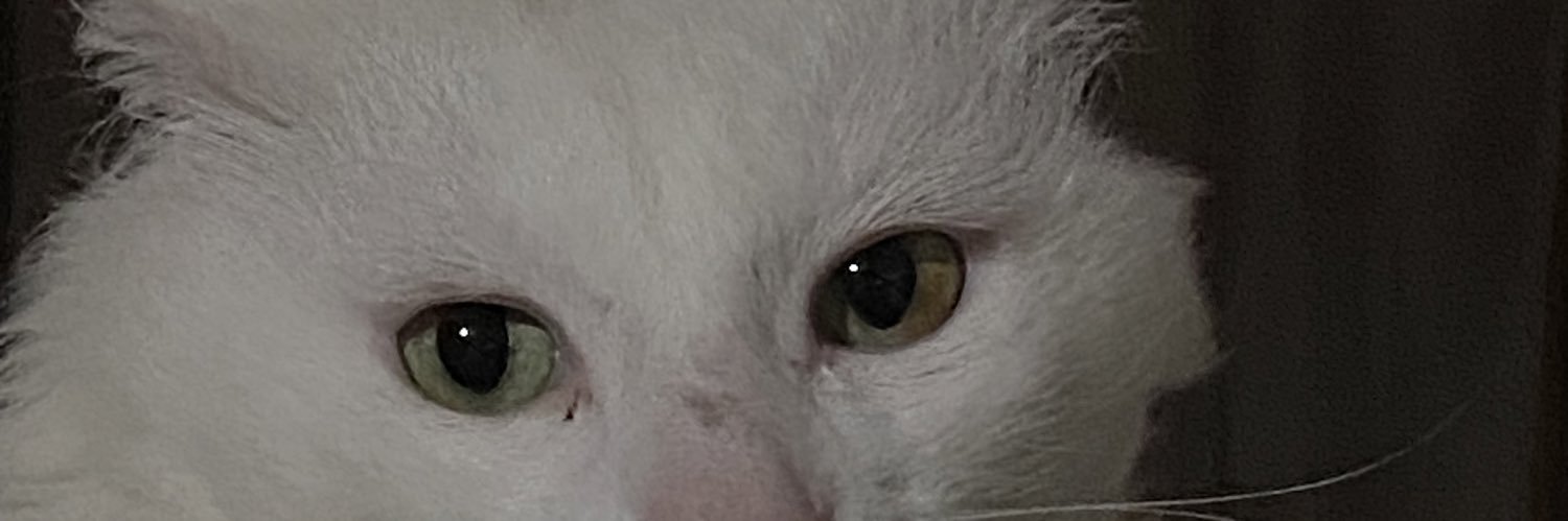 cieloo1959's profile banner image