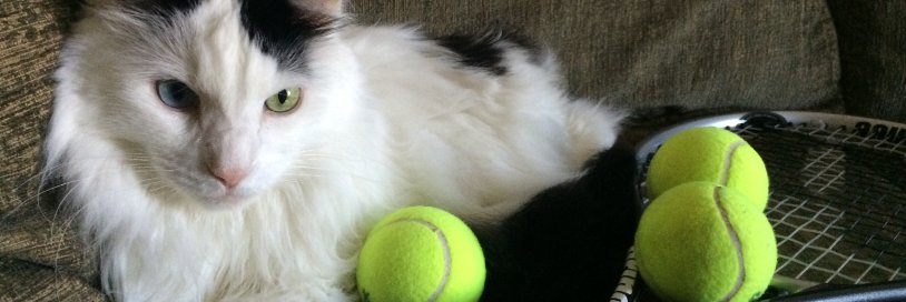 fraziersracket's profile banner image
