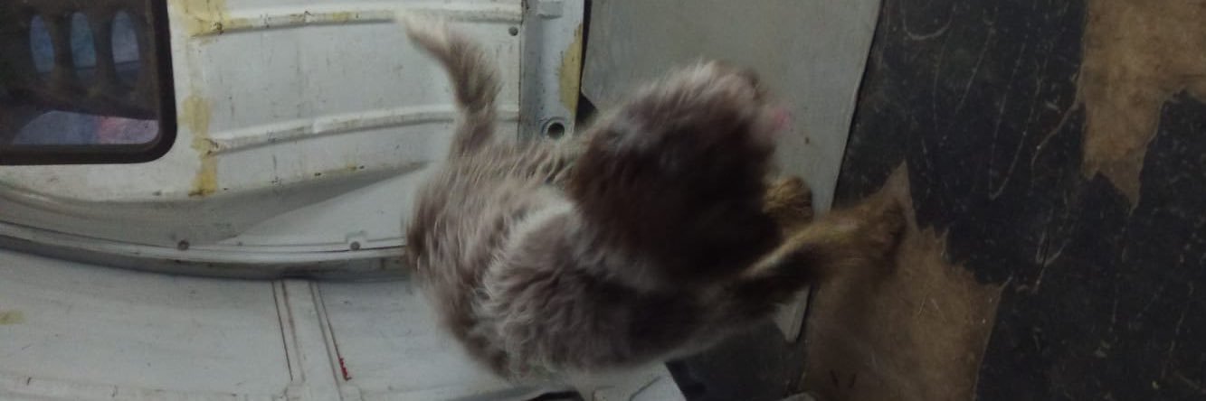 Bobby on his phone banner