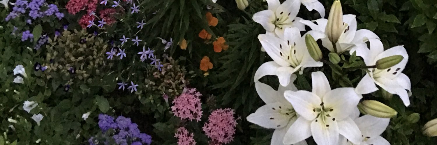 caffe_conlatte's profile banner image