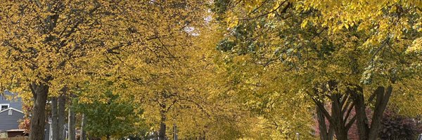 Bill_McCann Profile Banner