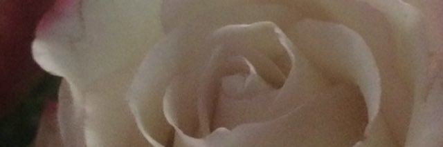 cdh952's profile banner image