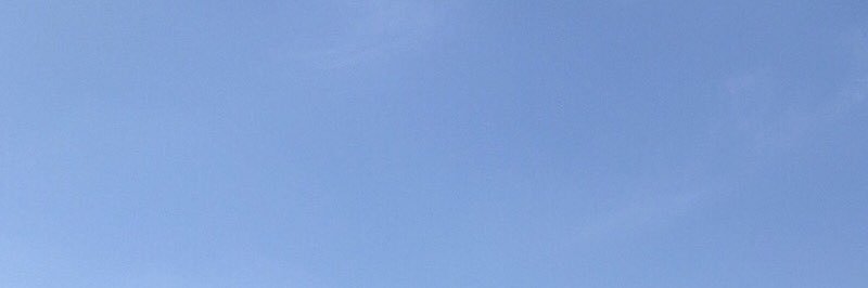 しおん banner
