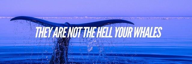____whales's profile banner image