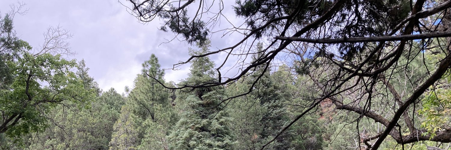 BurqueButter's profile banner image