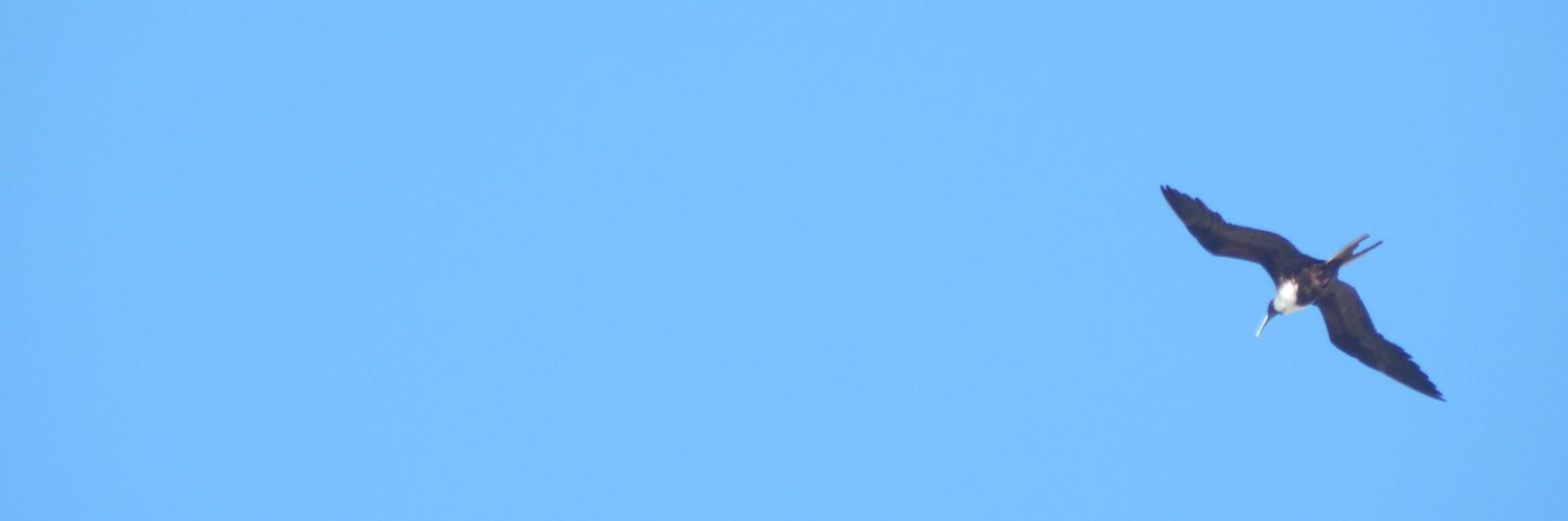 vane_lopez_'s profile banner image