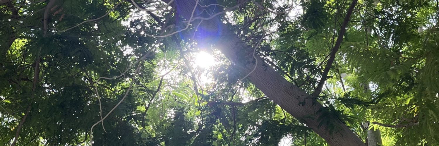 RareB2_'s profile banner image