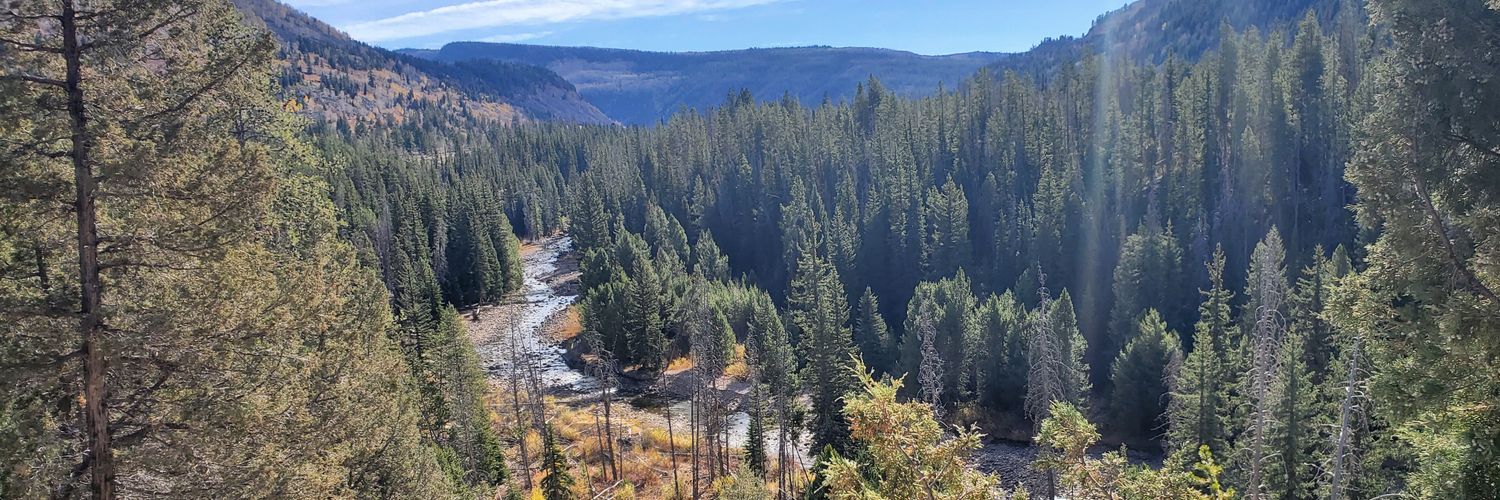 Nasser Humood banner