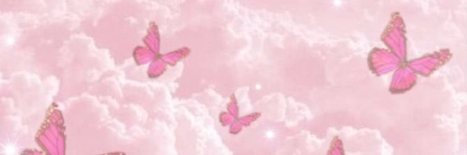 🎀 banner