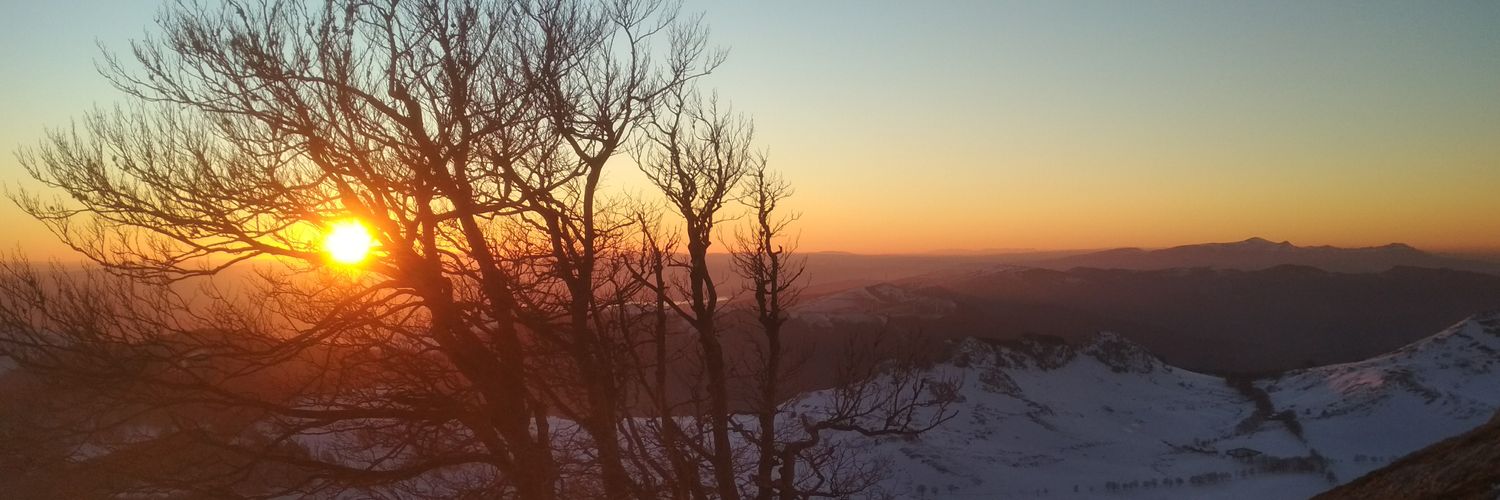 payrotz's profile banner image