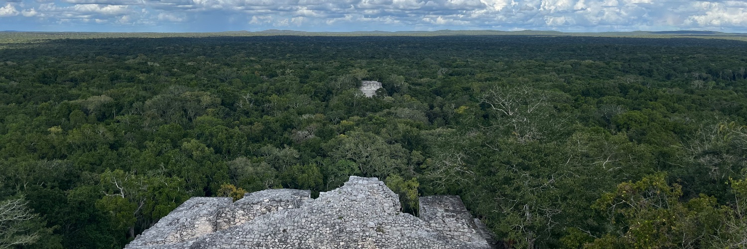 James - Servers.com banner