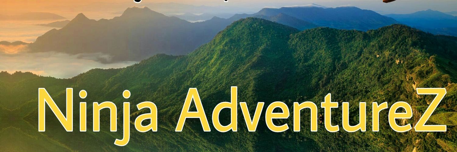 NinjaAdventurez's profile banner image