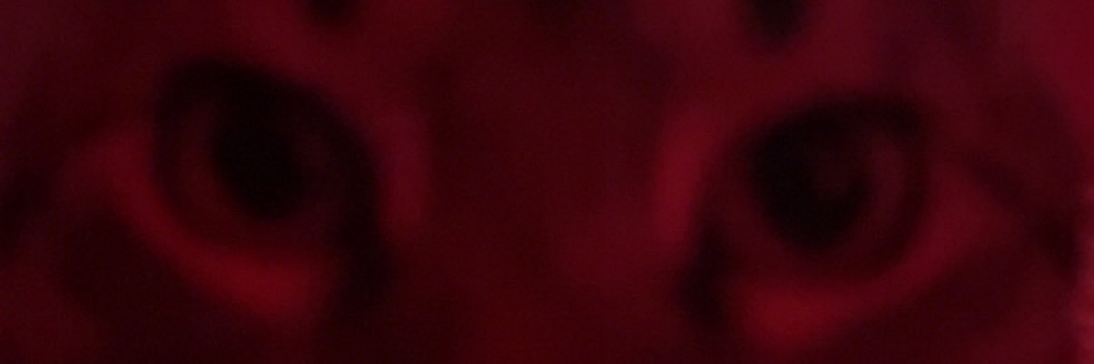 nqthxn's profile banner image