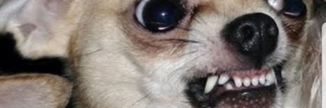 denyrae2's profile banner image