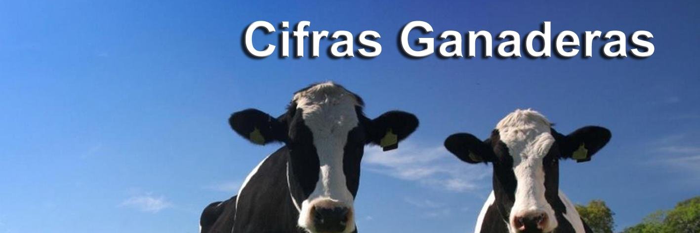 cifrasganaderas's profile banner image