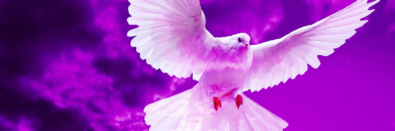 LLudmille's profile banner image