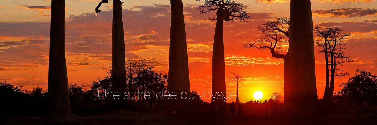 JacarandaDeMada's profile banner image