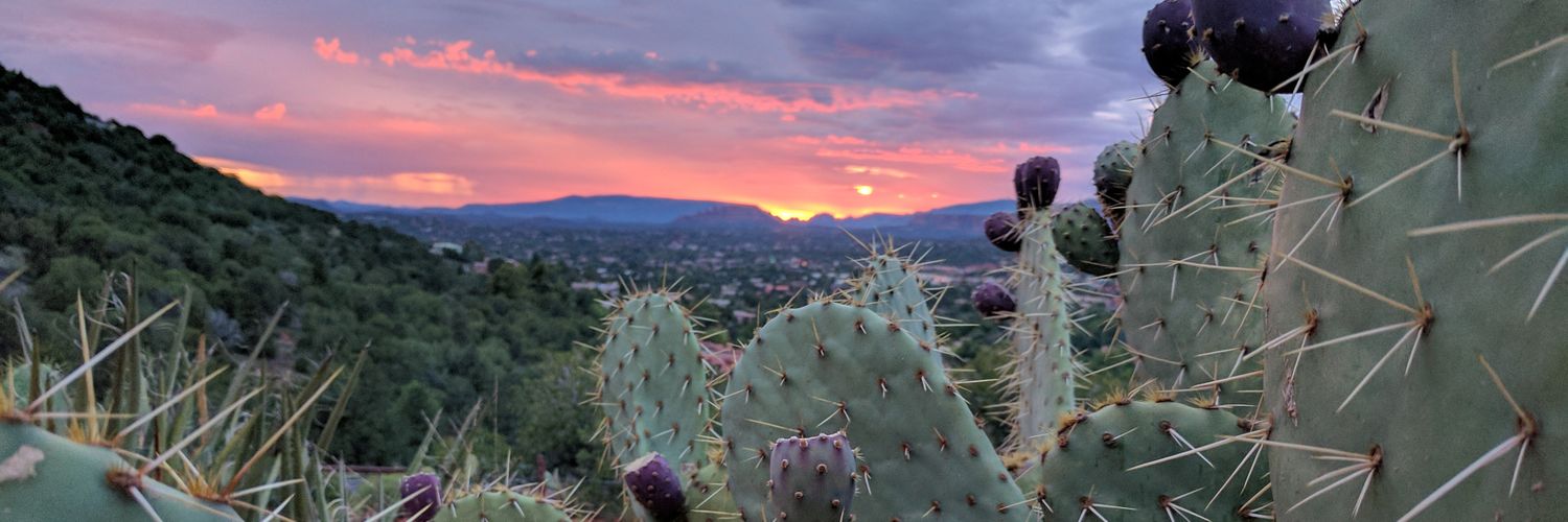 Chieh-Yang Huang banner