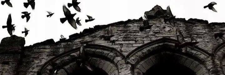 badhabits2_'s profile banner image