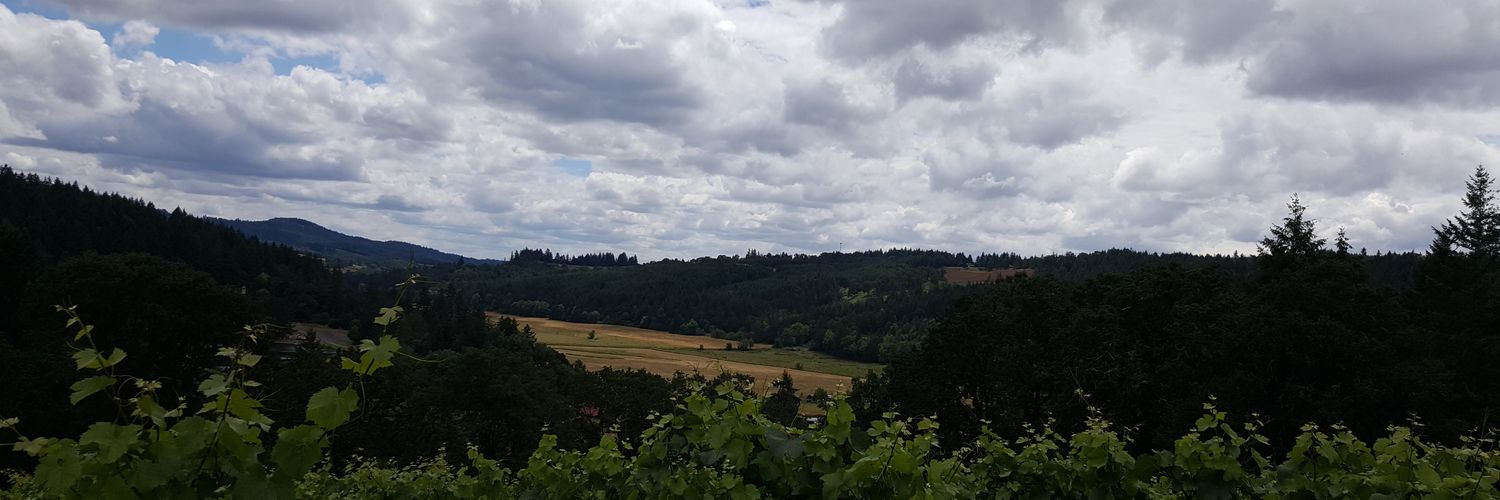 Minority Wine Report banner