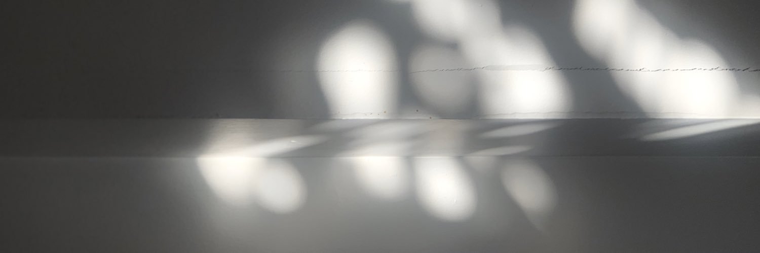isabellabyrd's profile banner image