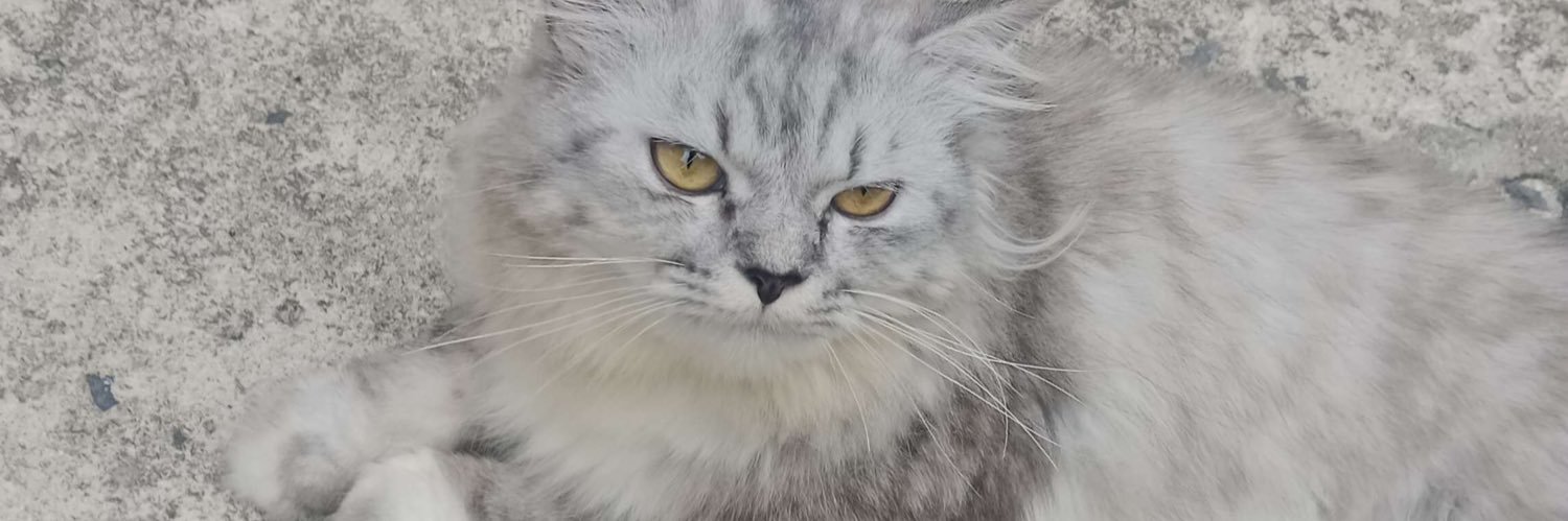 arabaenn's profile banner image