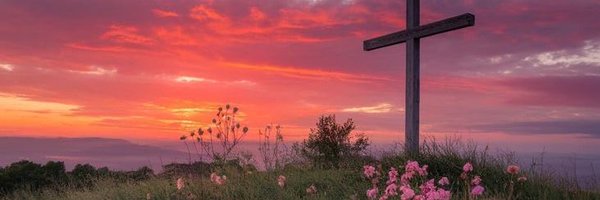 LovesickLo Profile Banner