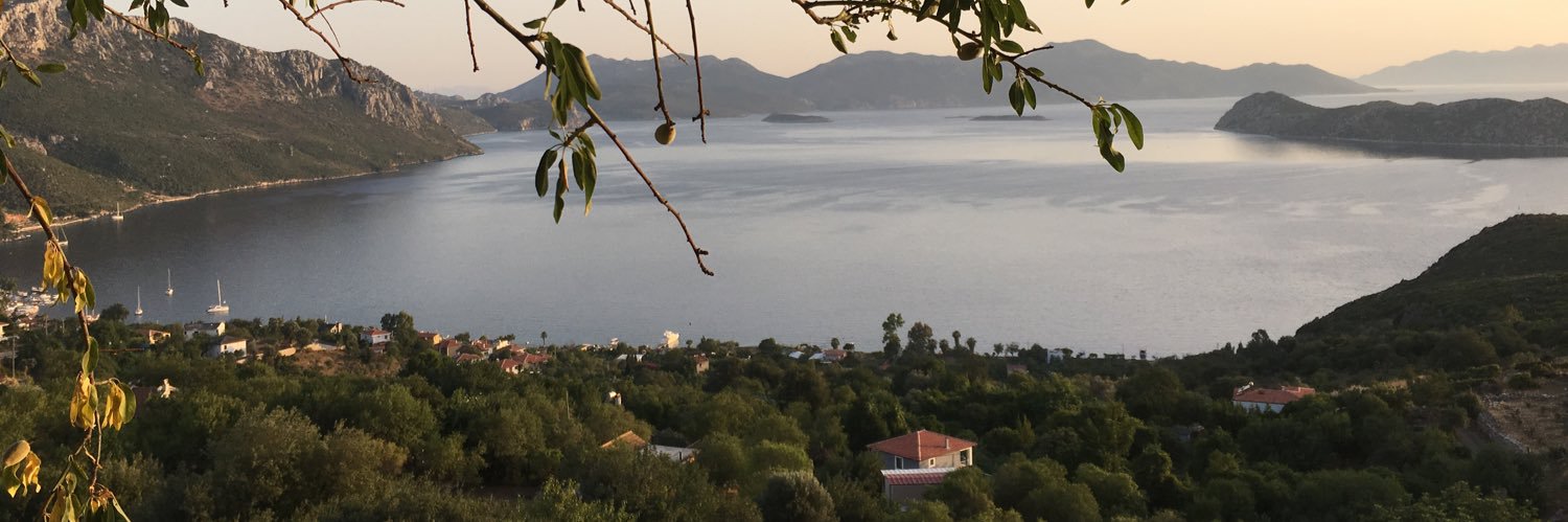 bsr_ozlem's profile banner image