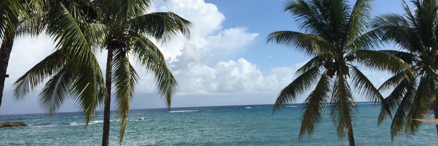 Kate_RPh's profile banner image