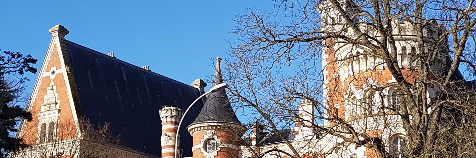 SectionSuedoise's profile banner image
