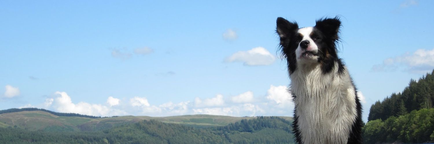 Rhosymadoc_boy's profile banner image