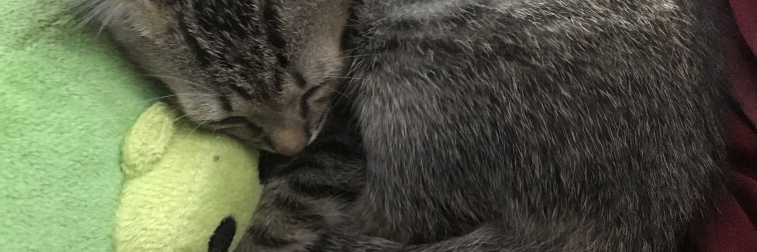 ❄️snow monster ☃️ banner