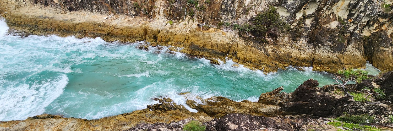 Ricardo Fabrino Mendonça banner