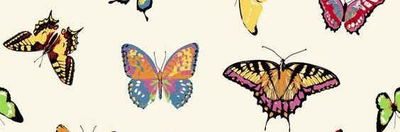 ananda_rice's profile banner image