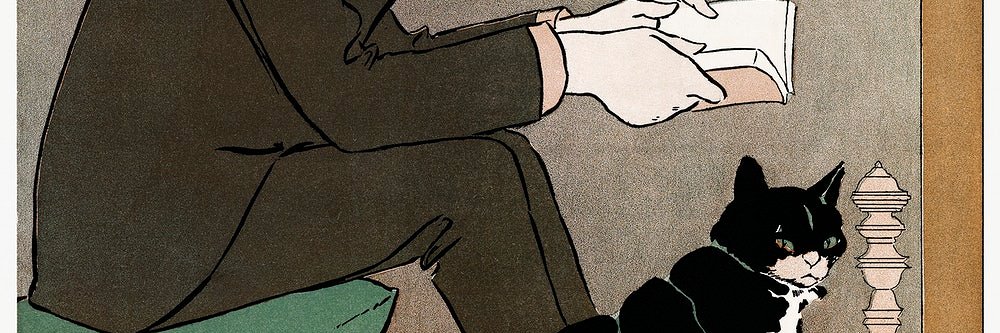AvocadoSid's profile banner image