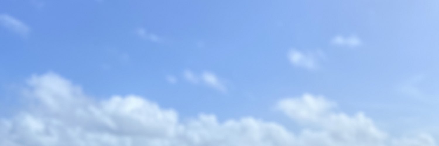 🌻Paulina 🌻 banner