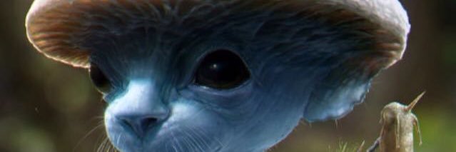 YoSoyRena's profile banner image
