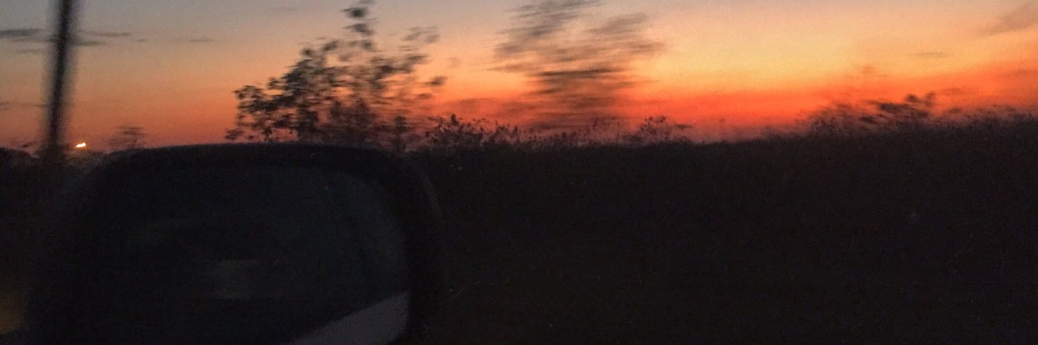 MariaMdn's profile banner image