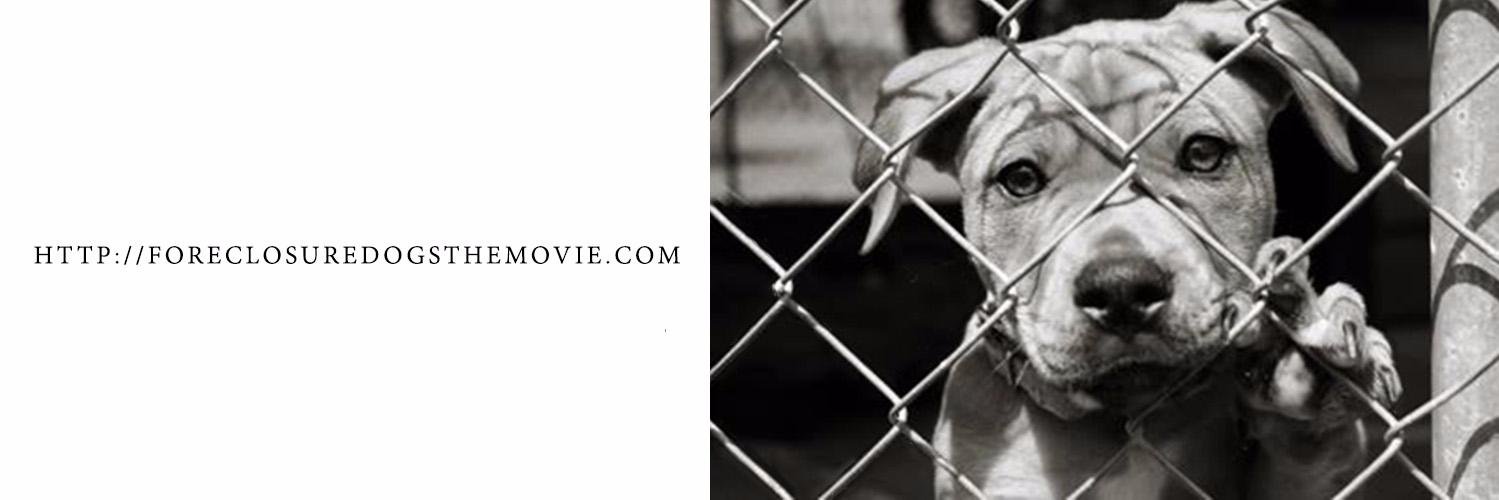 foreclosuredogs's profile banner image