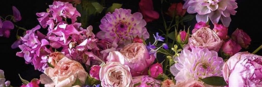 Emma banner