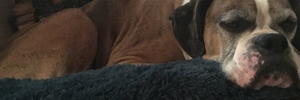 MelanieMook1's profile banner image