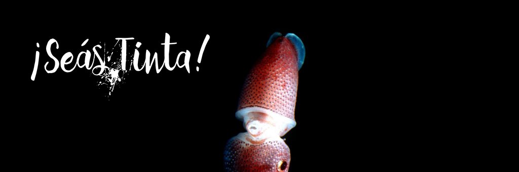 ¡Seás Tinta! banner